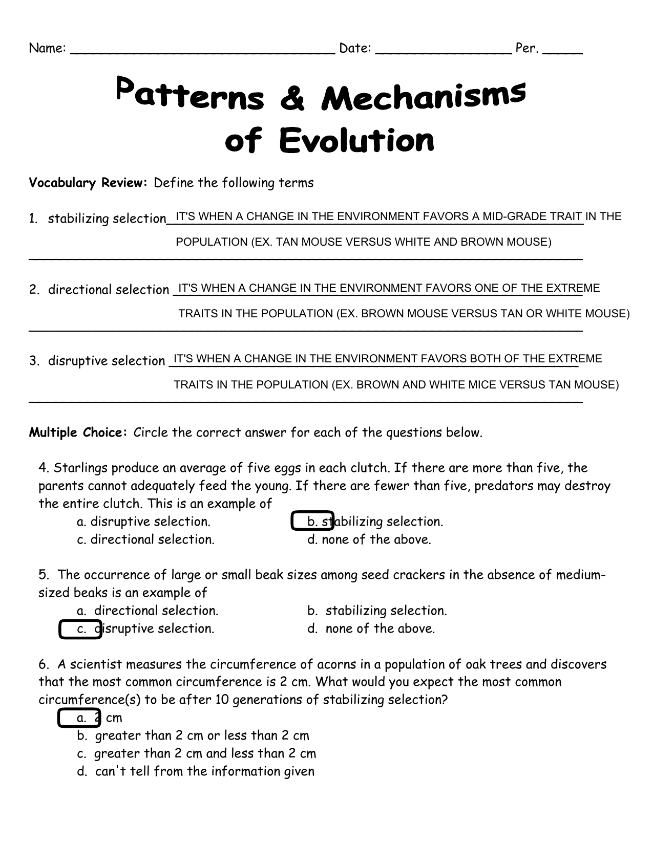 Evolution Patterns Mechanisms Worksheet High School Biology