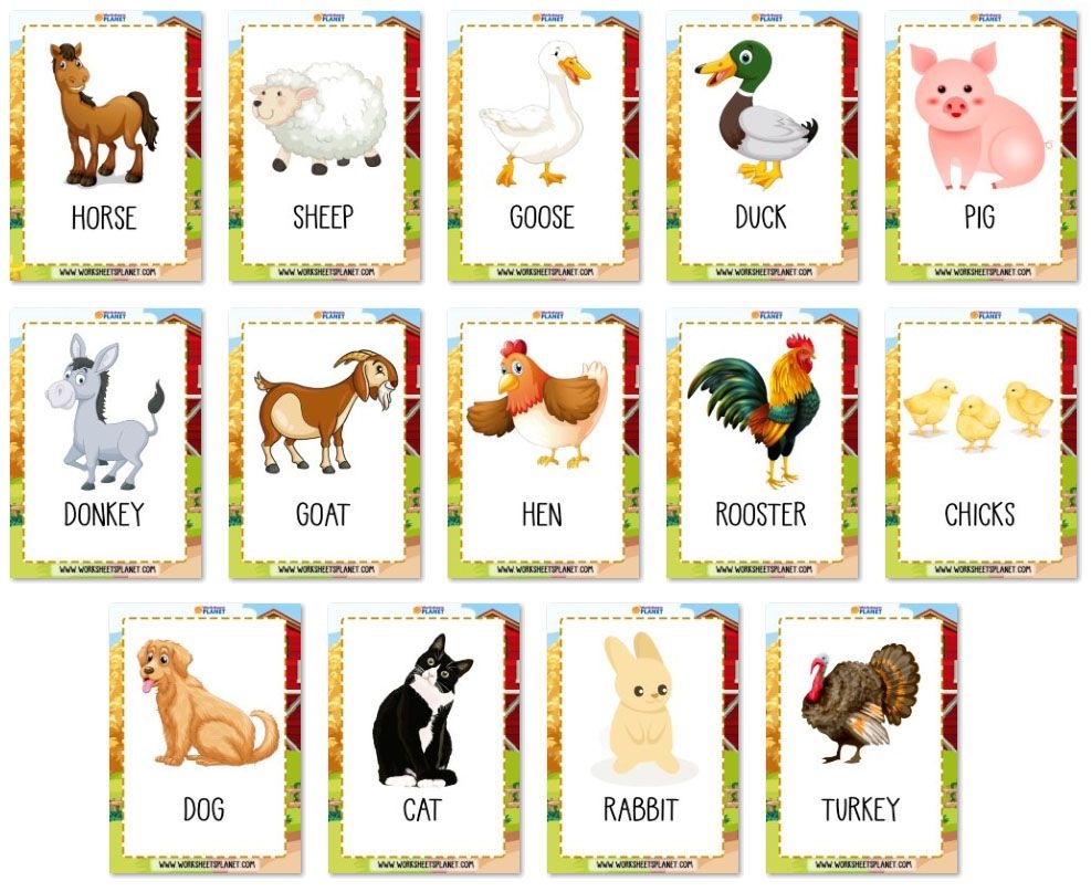 Farm Animals