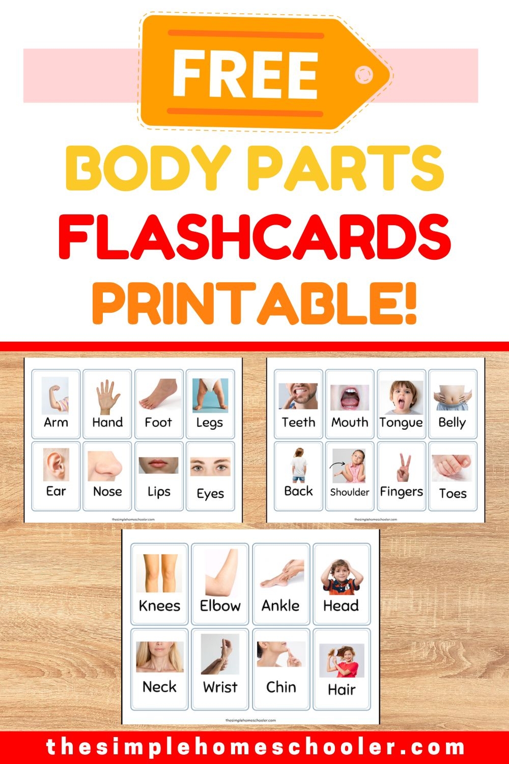 Free Printable Body Parts Flashcards For Kids The Simple Homeschooler