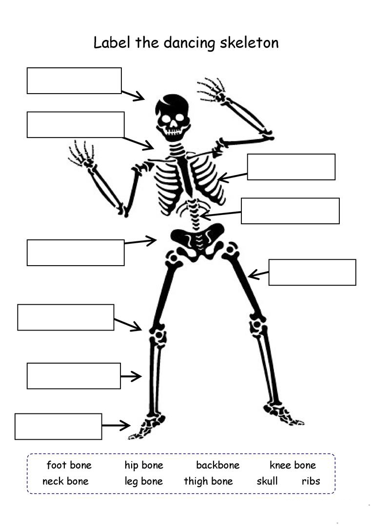 Fun Worksheets For 4th Grade