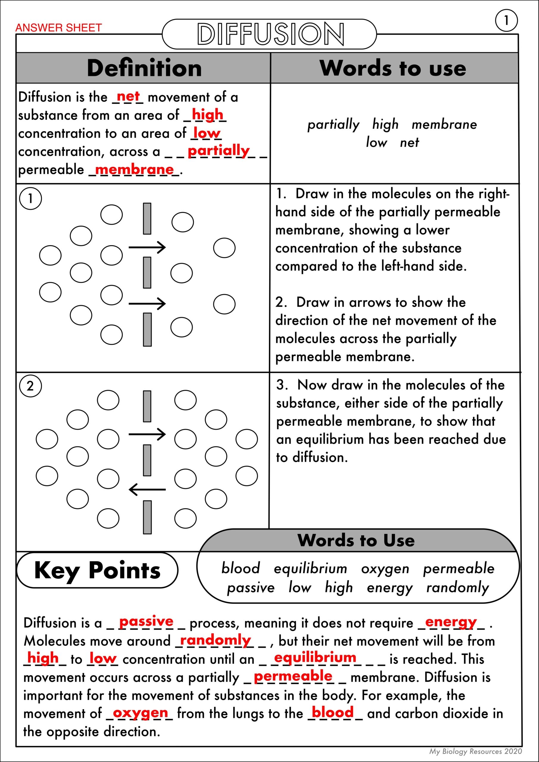 worksheet on osmosis and diffusion
