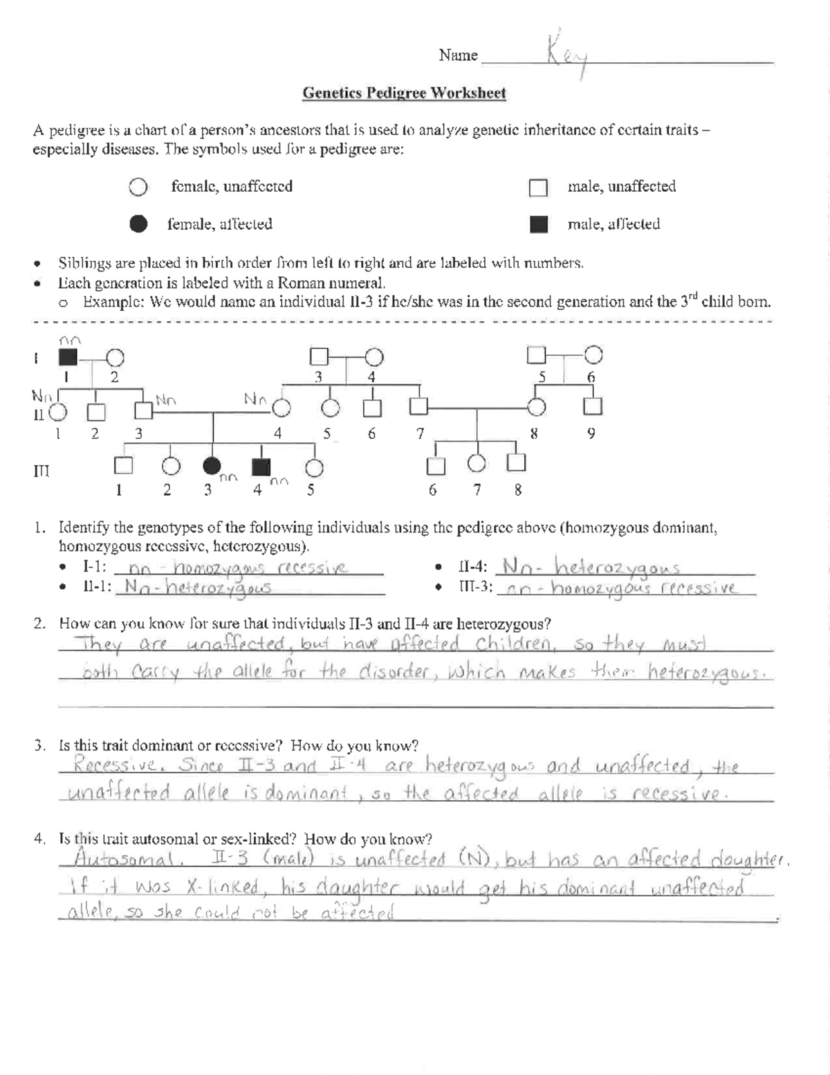 Genetics Pedigree Worksheet And Key BIOL 313 Studocu