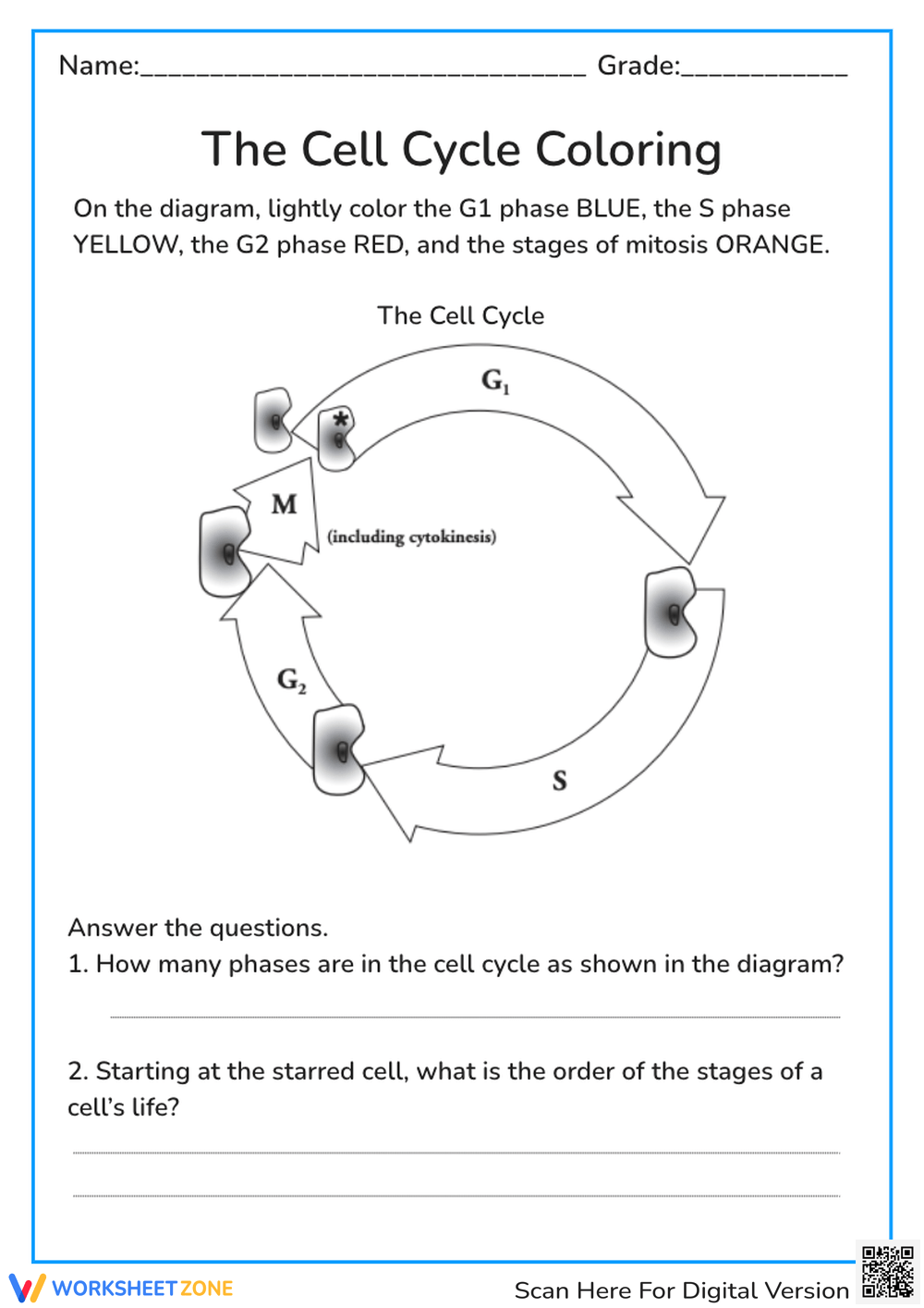 Grade 11 Cell Structure And Function Worksheets