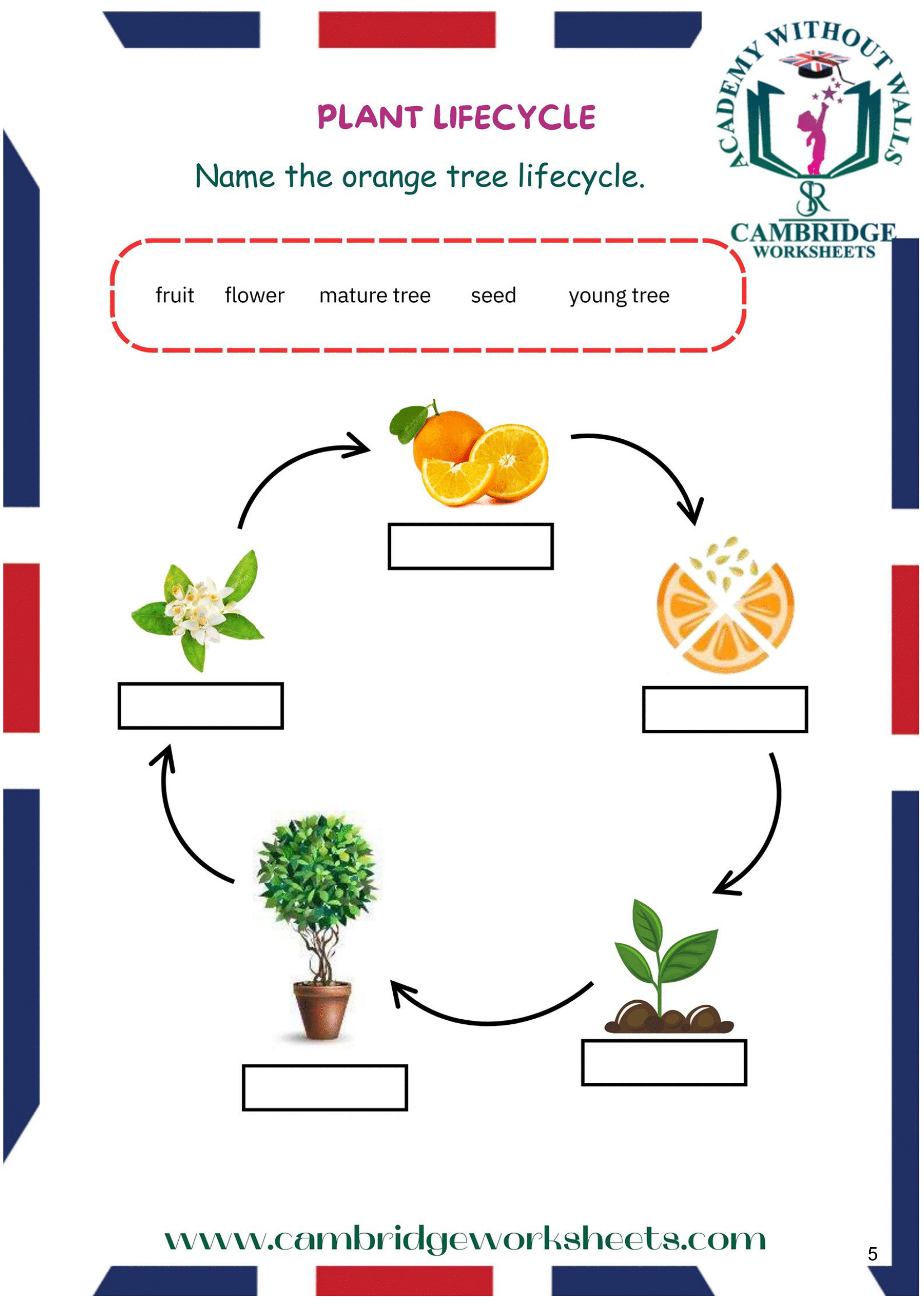 science worksheets for 3rd graders