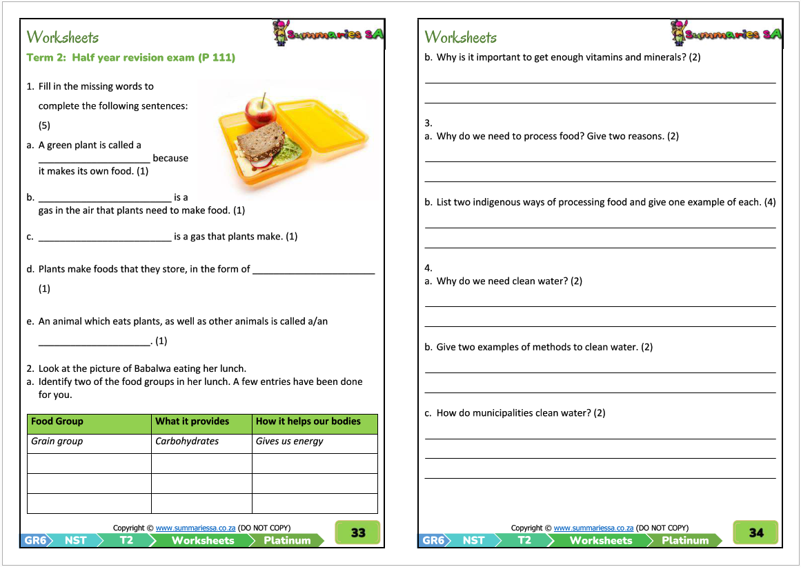 Grade 6 Natural Sciences Technology Term 2 Platinum Activities And Worksheets Classroom101