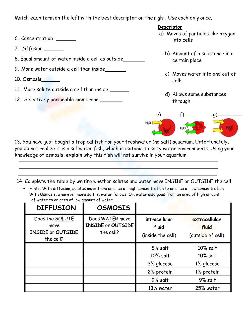 Grade 8 Diffusion And Osmosis Worksheets