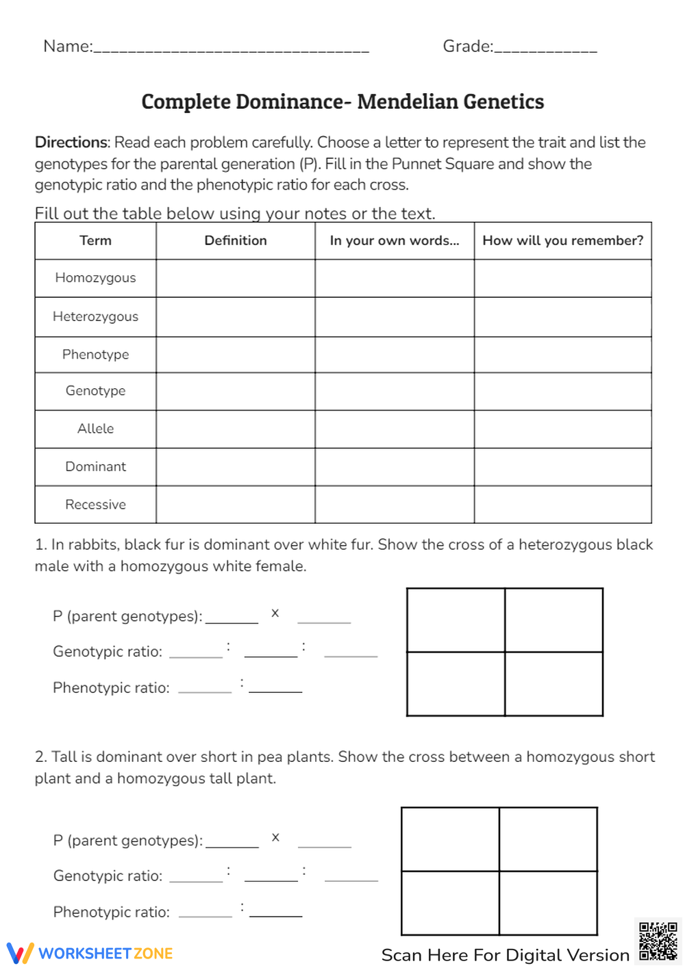 Grade 8 Punnett Square Practice Worksheets Printable