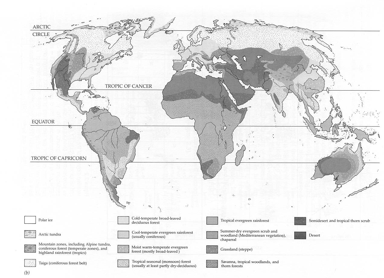 biome map coloring worksheet