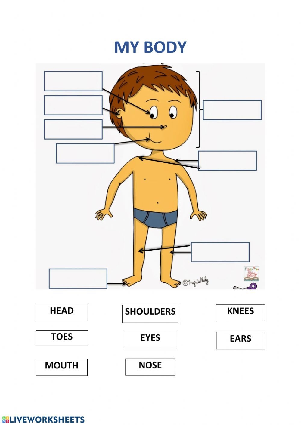 head shoulders knees and toes flashcards pdf