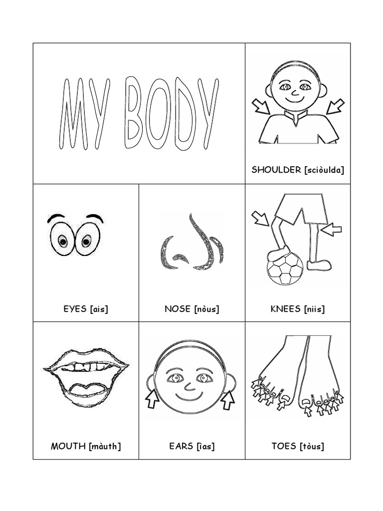 Head Shoulders Knees And Toes Word Cards teacher Made Worksheets Library