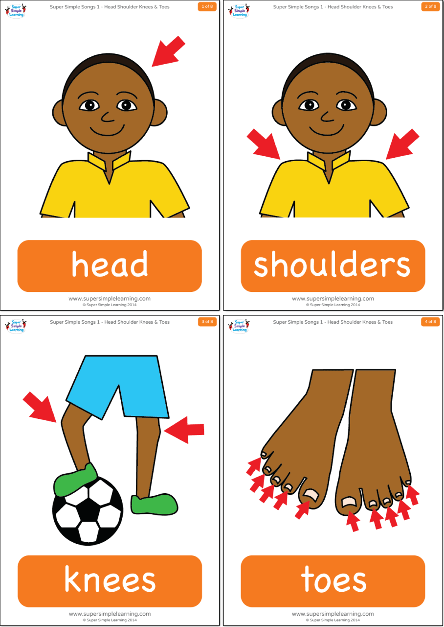 Head Shoulders Knees Toes Flashcards Super Simple
