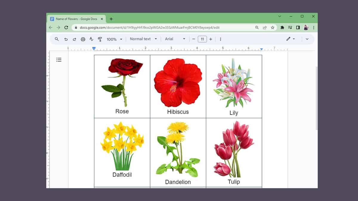 how to make flashcards on google docs