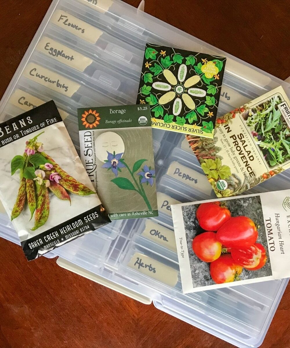 How To Read A Seed Packet for Beginner Gardeners Meaghan Grows