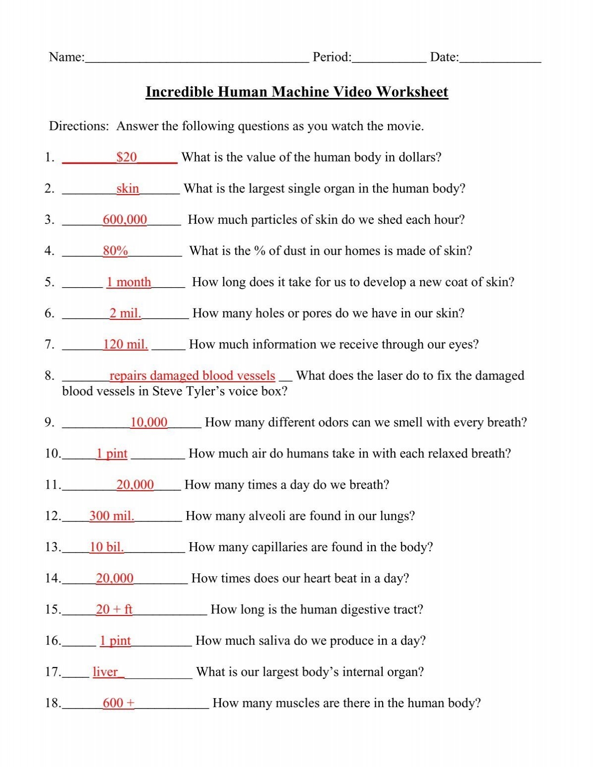 Incredible Human Machine Video Worksheet Incredible Human Machine Video Worksheet