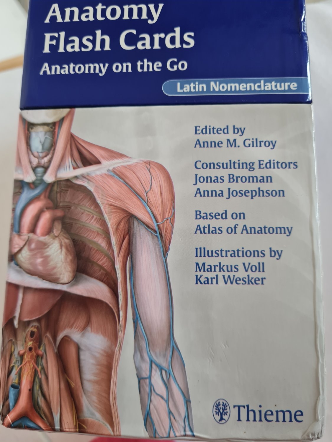 ISBN 9781604062151 Human Anatomy Flashcards Latin Gebraucht Antiquarisch Neu Kaufen
