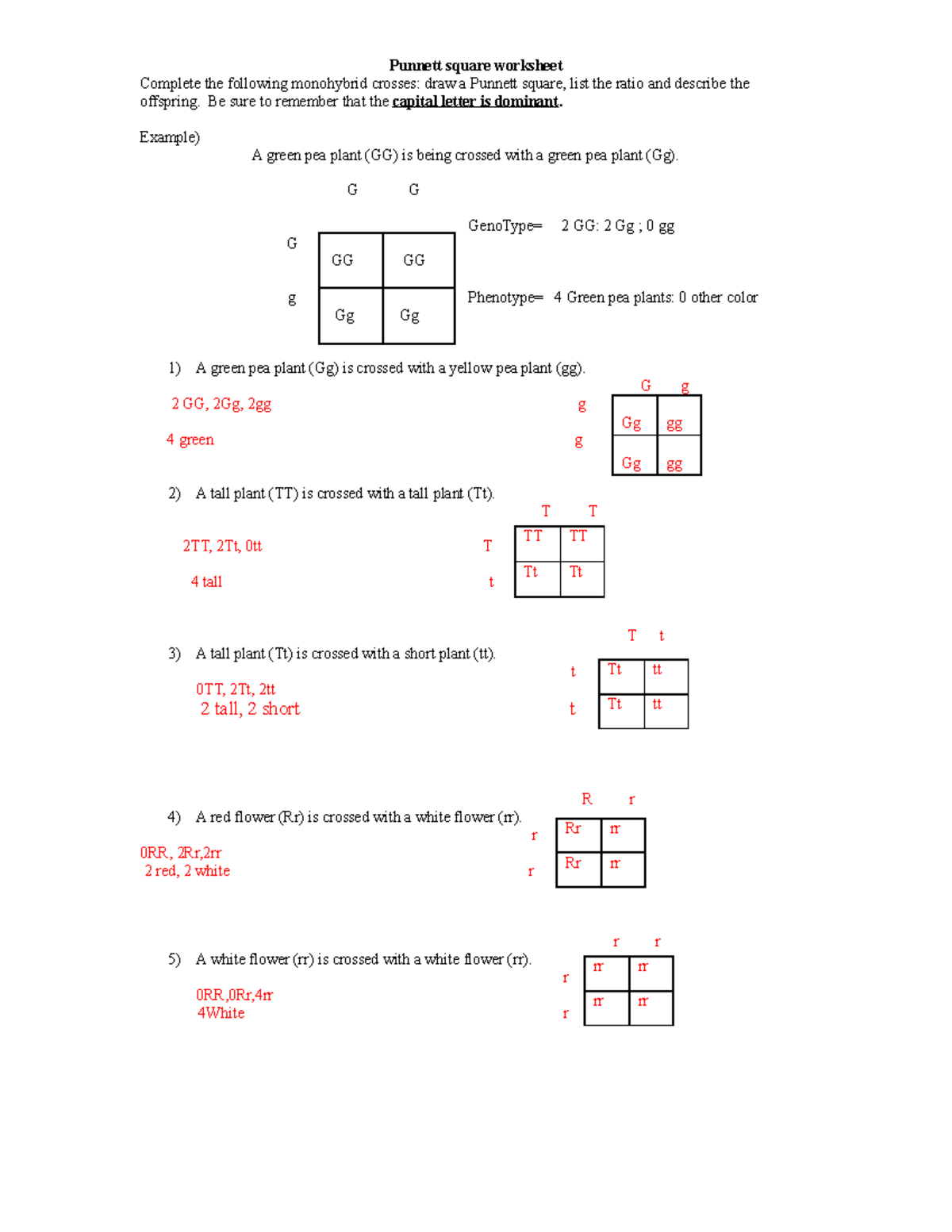 Jimmy PPunnett Square Worksheet Punnett Square Worksheet Complete The Following Monohybrid Studocu Jimmy PPunnett Square Worksheet Punnett Square Worksheet Complete The Following Monohybrid Studocu