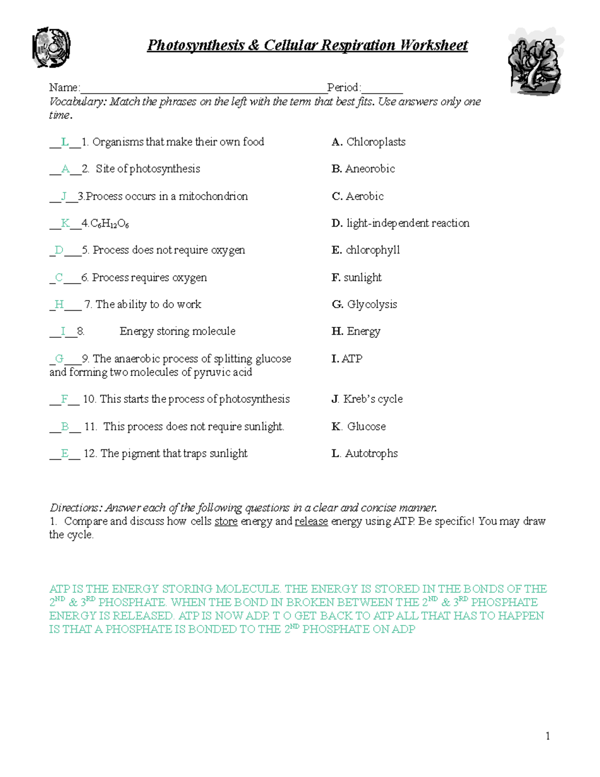 Key Photosynthesis Respiration Review Worksheet Photosynthesis amp Cellular Respiration Studocu