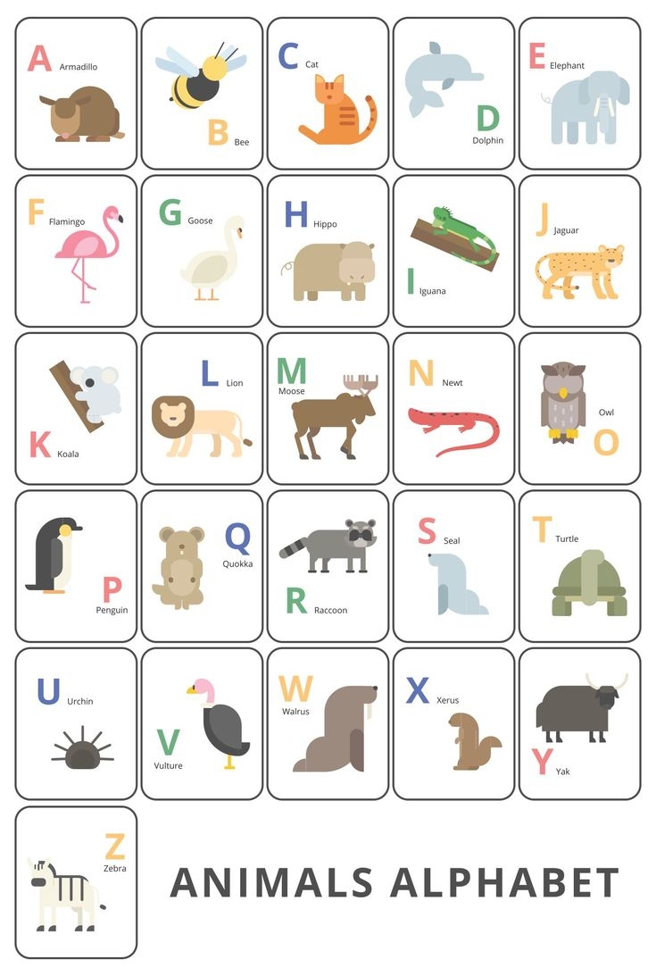 abc printable flashcards