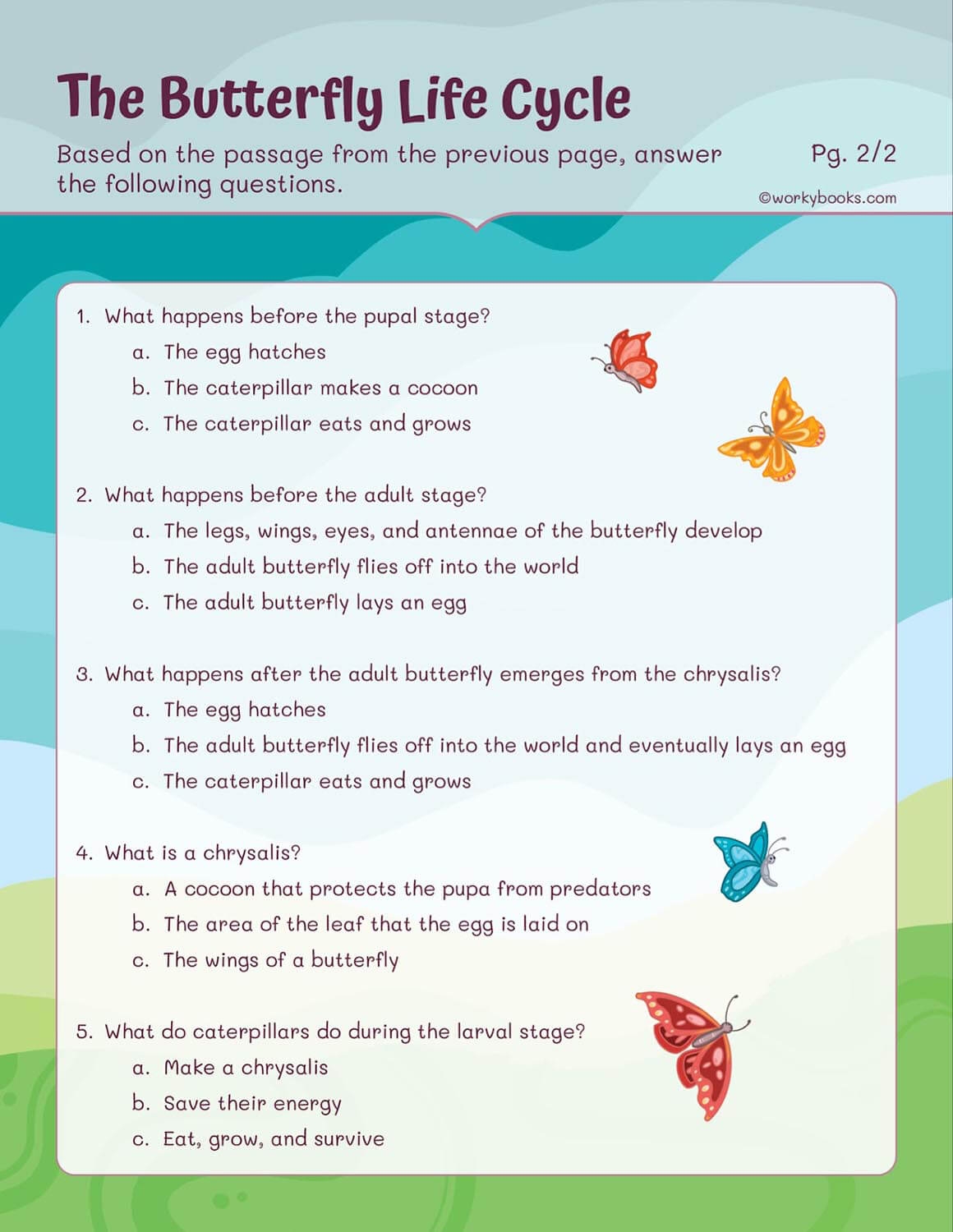 animal life cycle worksheets 3rd grade free