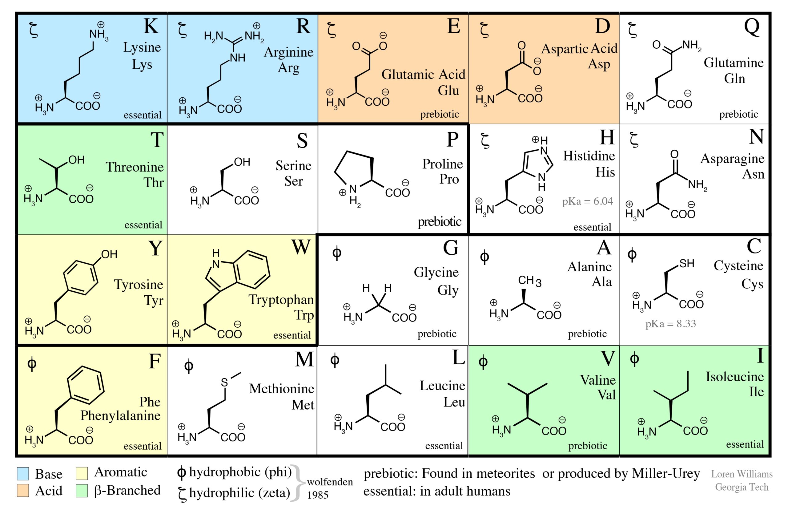 Macromolecular Structure