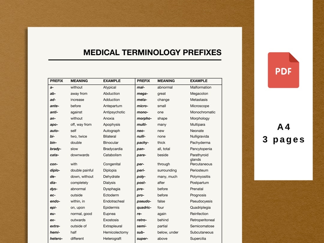 medical terminology flashcards printable medical terminology flashcards printable