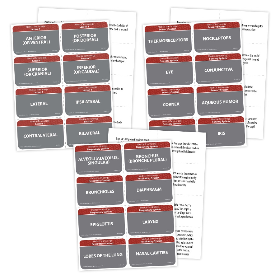 Medical Terminology Class Kit Realityworks