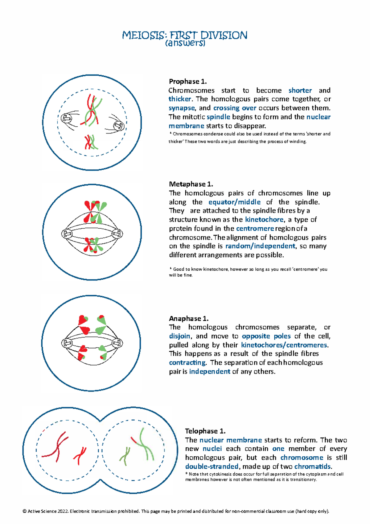 Meiosis Worksheet Answers For Biology 101 Key Concepts Explained Studocu