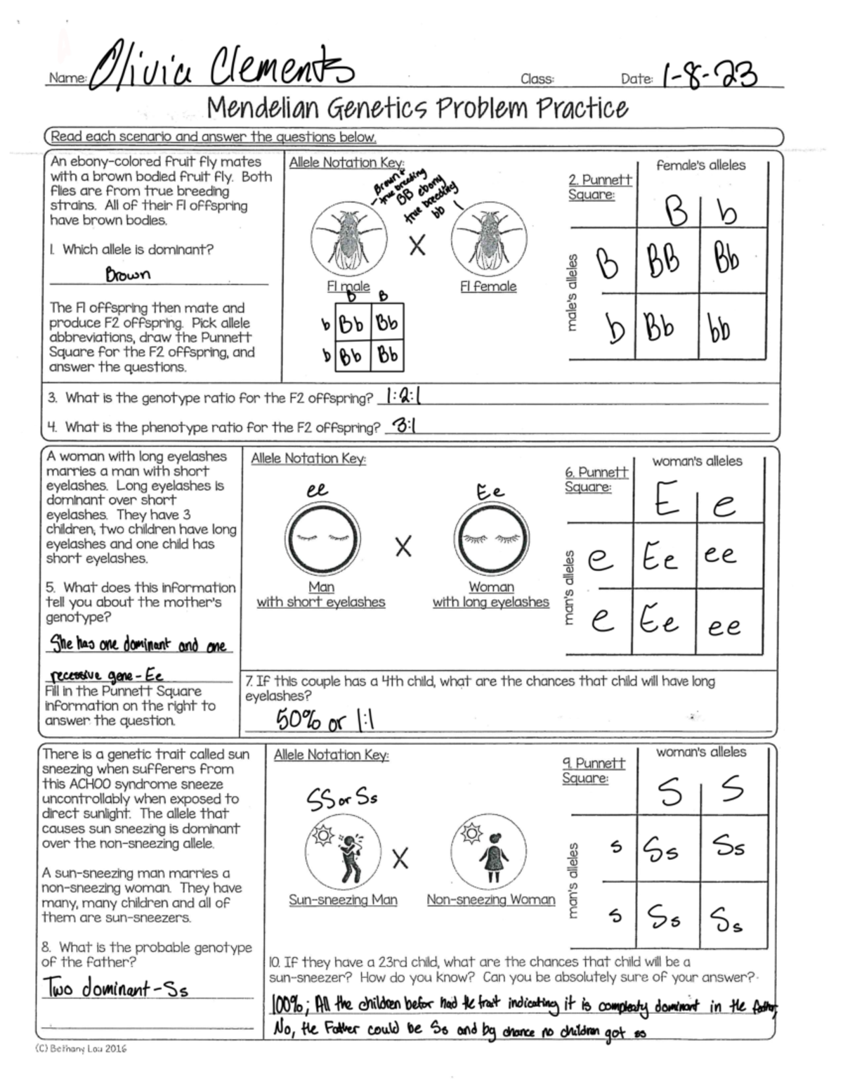 Mendelian Genetics Practice 1 3 And 4 6 Name Olivia Clements Class Date Mendelian Genetics Studocu Mendelian Genetics Practice 1 3 And 4 6 Name Olivia Clements Class Date Mendelian Genetics Studocu