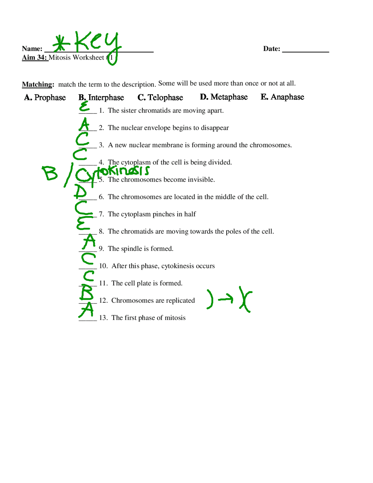 Mitosis Matching Worksheet With Answer Key Ejercicios Biolog a Celular Docsity