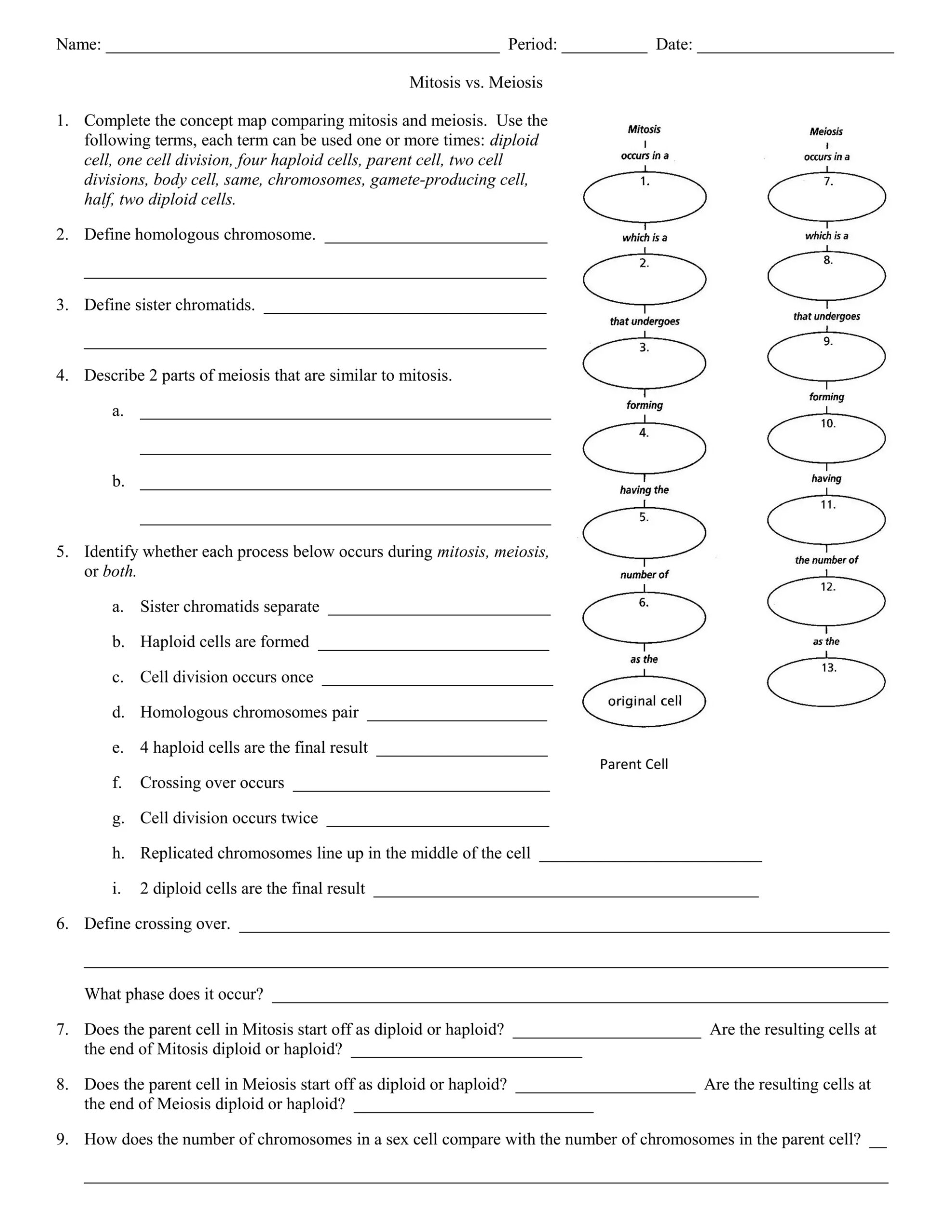 Mitosis Vs Meiosis Worksheet DOC Biological Sciences Science