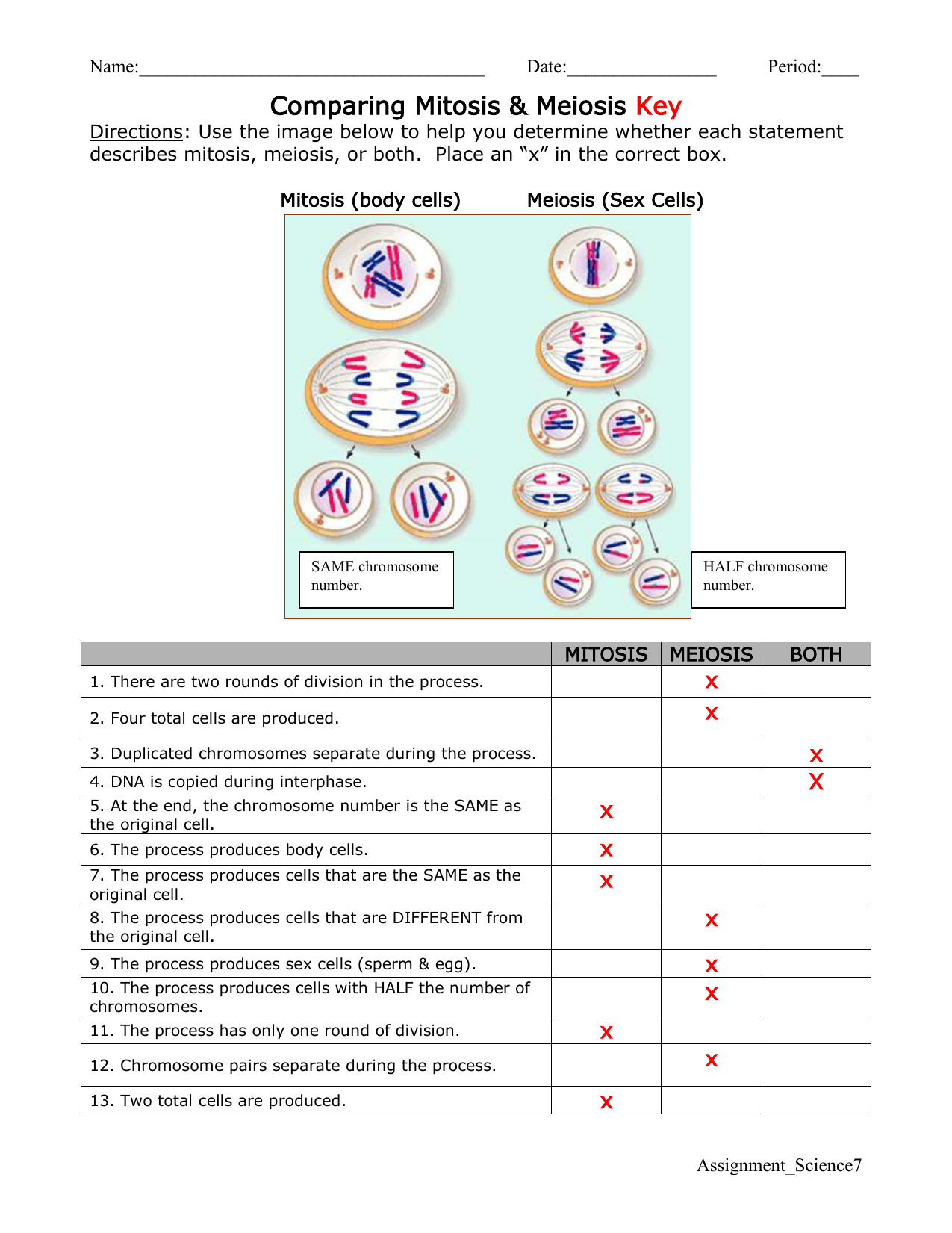 Mitosis Vs Meiosis Worksheet Key