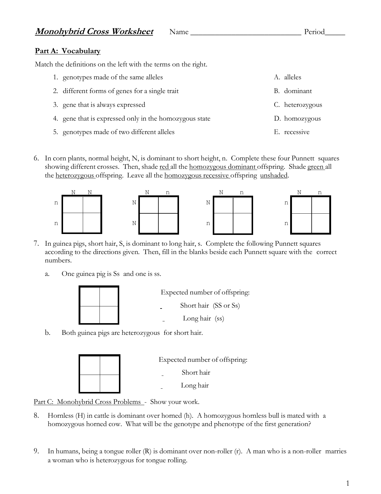 monohybrid cross worksheet
