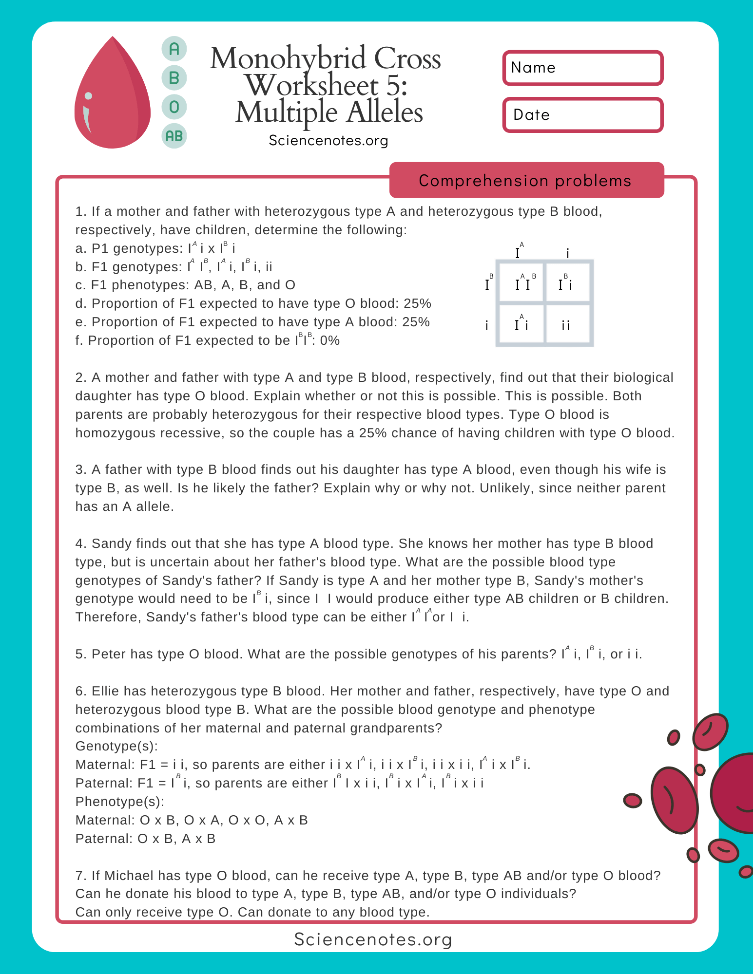 Monohybrid Cross Worksheets Printable