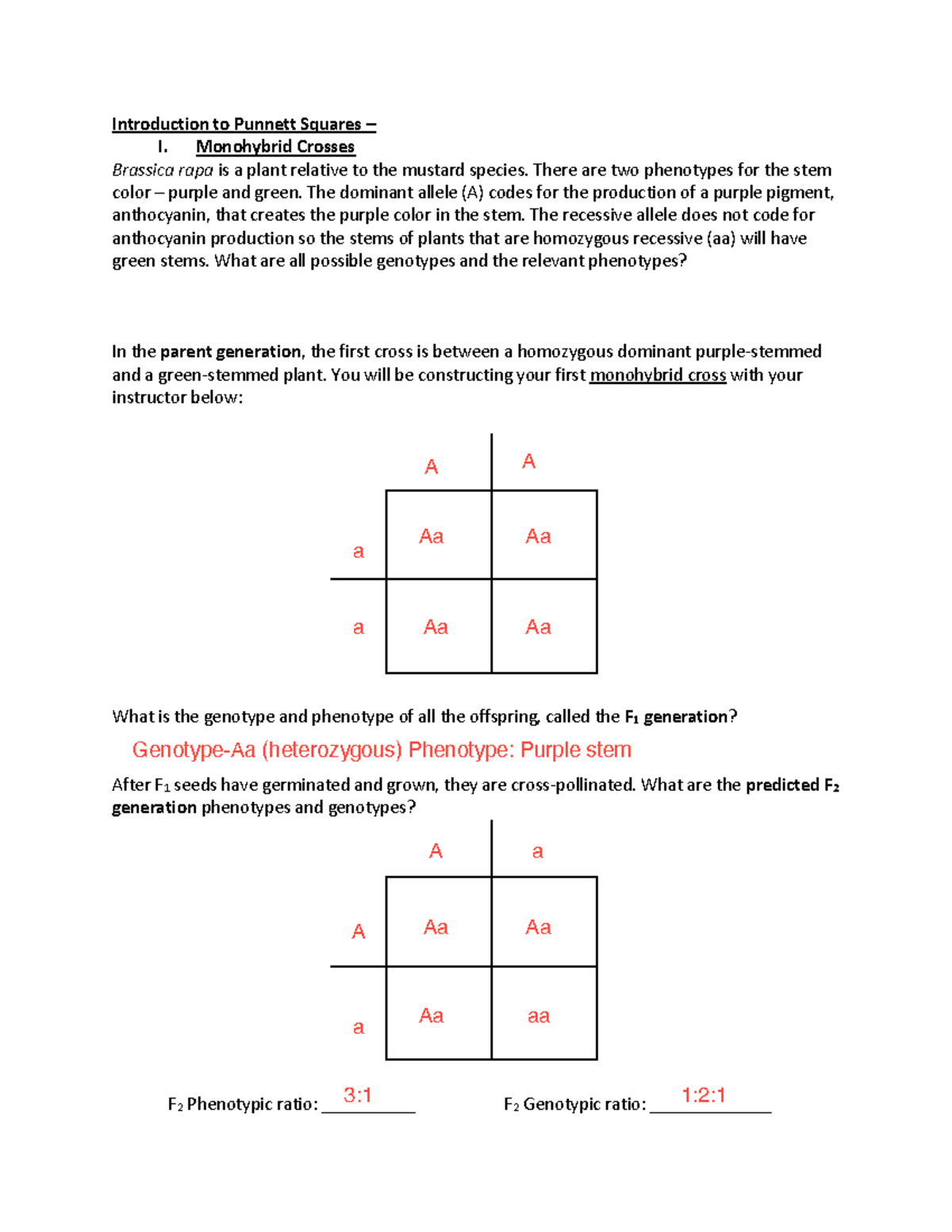 Monohybrid Worksheet Part 1 Introduction To Punnett Squares I Monohybrid Crosses Brassica Rapa Studocu