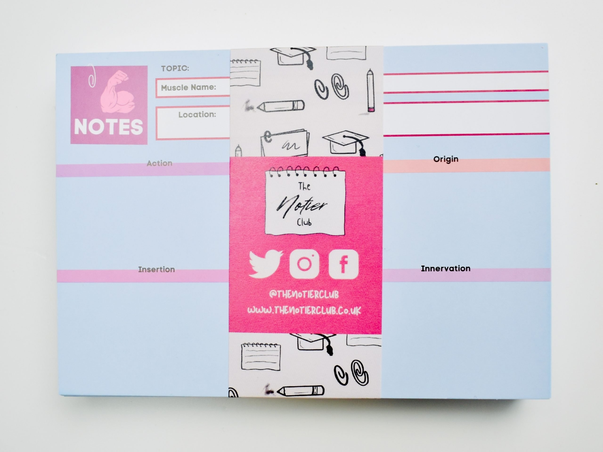 Muscle Anatomy Flashcards The Notier Club Muscle Anatomy Flashcards The Notier Club