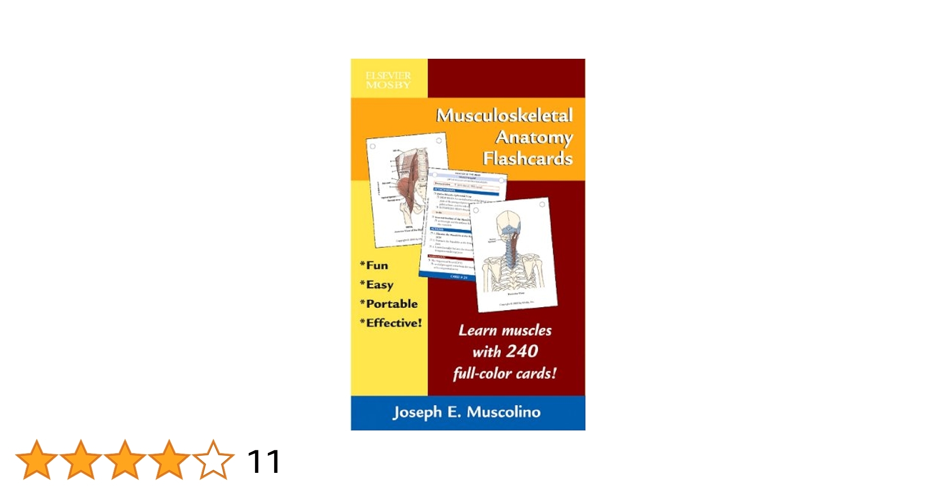 Musculoskeletal Anatomy Flashcards Muscolino Joseph E Amazon sg Books Musculoskeletal Anatomy Flashcards Muscolino Joseph E Amazon sg Books