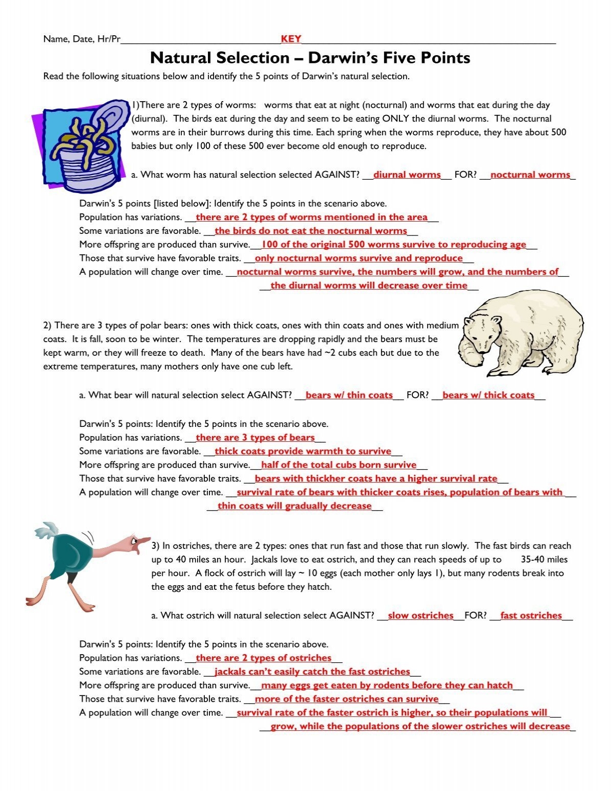 natural selection worksheet natural selection worksheet