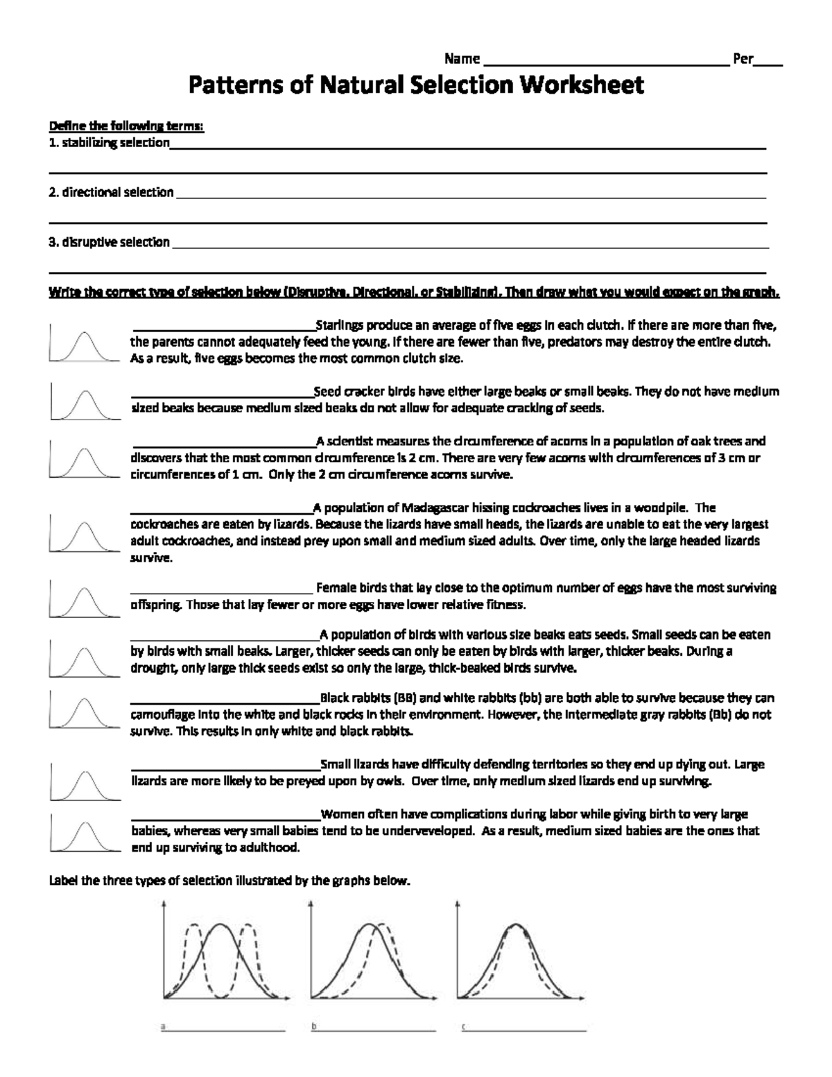 Natural Selection Patterns Worksheet Definitions Graphing For Evolution Studocu