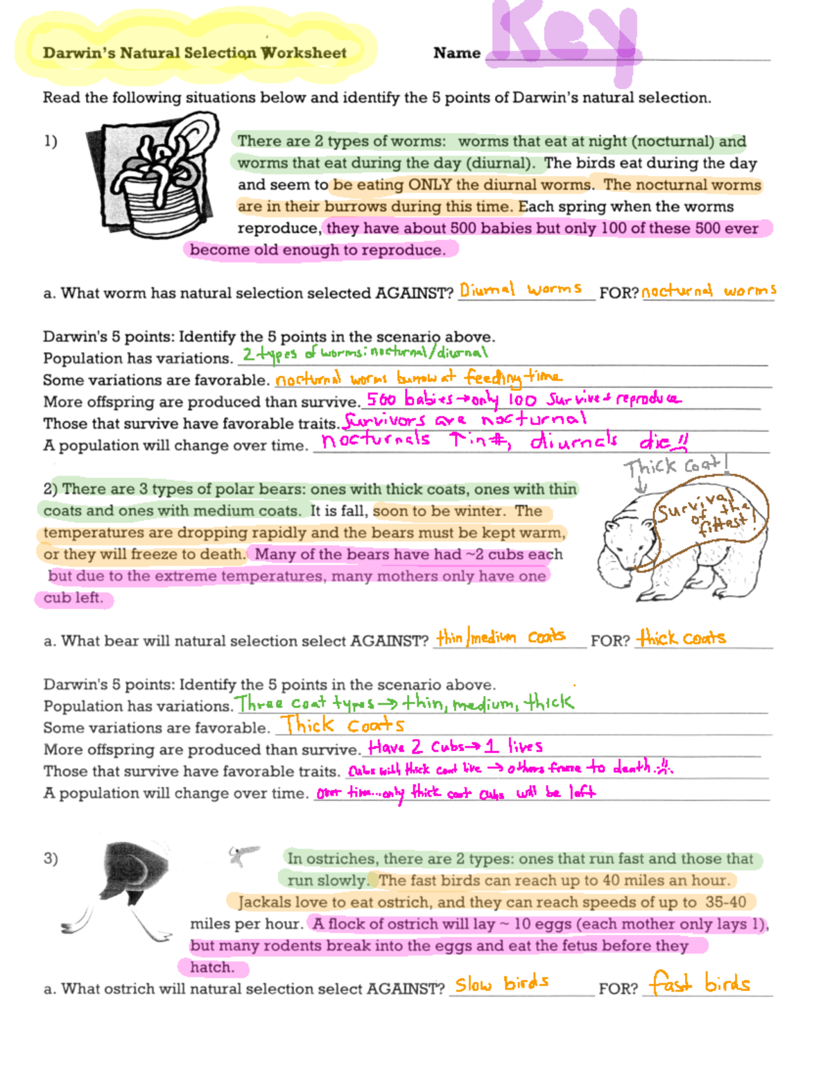 Natural Selection Worksheet Key Points And Examples On NS Studocu Natural Selection Worksheet Key Points And Examples On NS Studocu