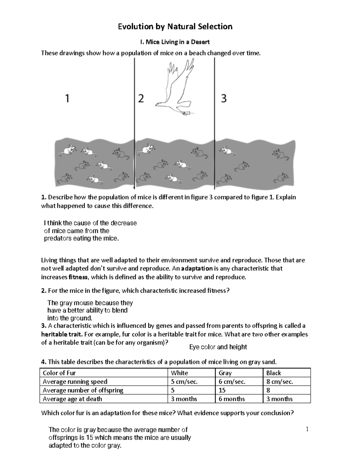 Natural Selection Worksheet Pt 1 Mice Adaptations And Fitness Analysis Studocu