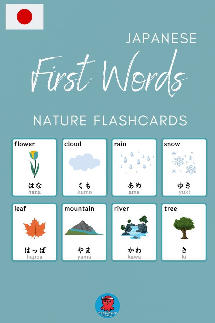 japanese vocabulary flashcards