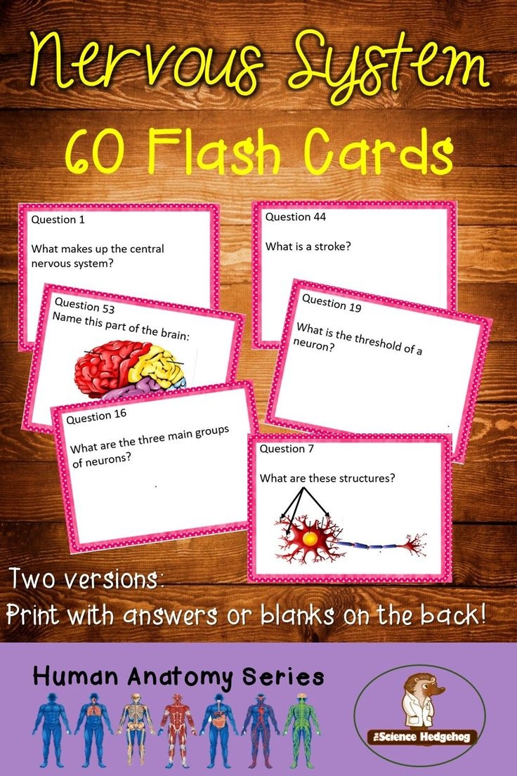 Nervous System Flash Cards