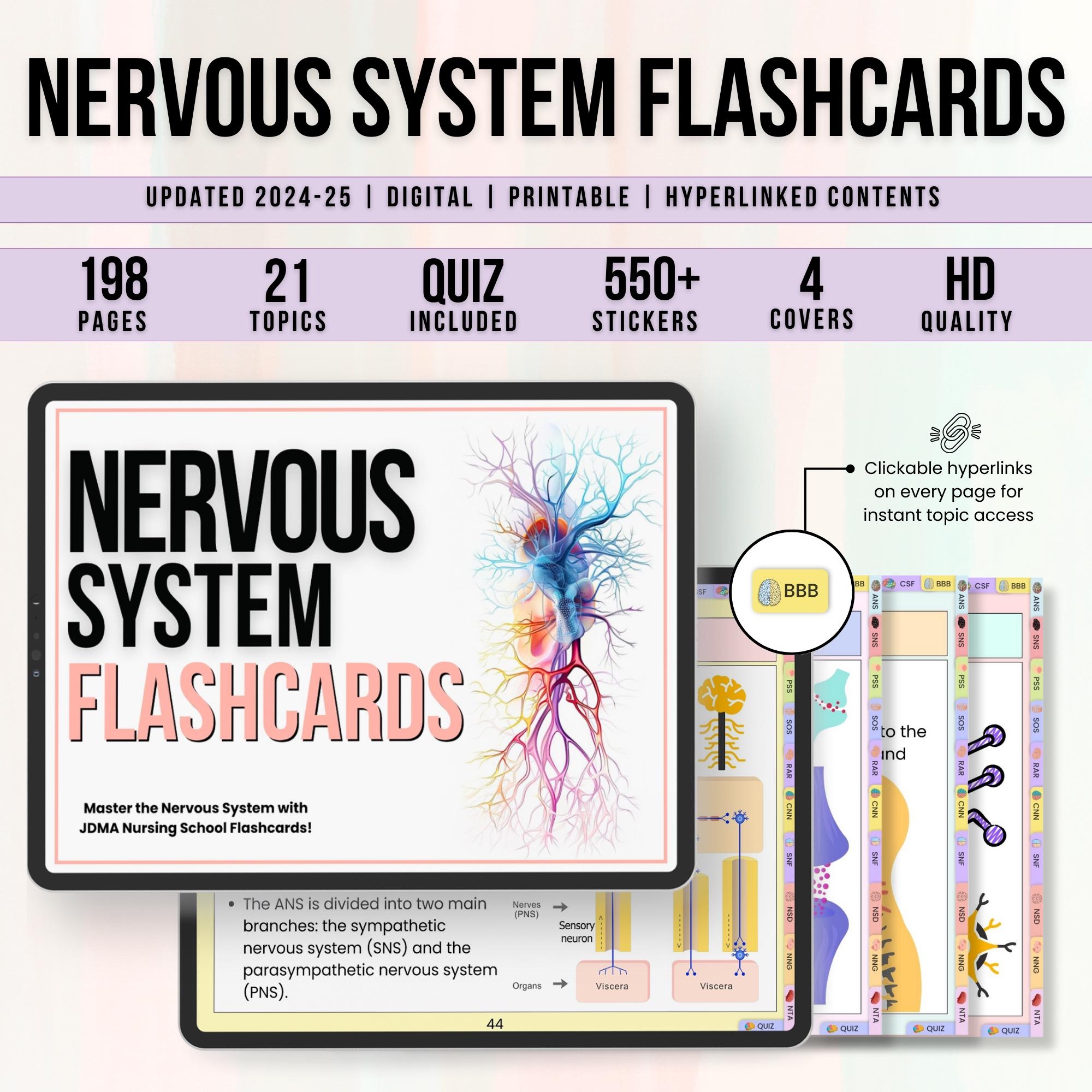 Nervous System Flashcards Hyperlinked Med Surg Notes Anatomy Of Brain Study Guide Nursing School Instant Download Med Surg Notes Etsy
