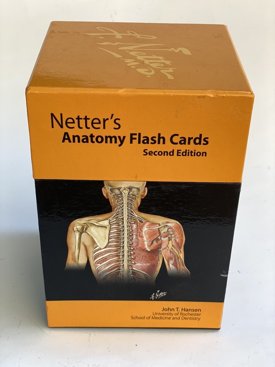 Netter s Anatomy Flash Cards John T Hansen 2nd Edition The Smart Way To Study 9781416039747 EBay