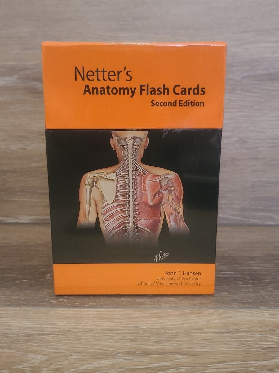 Netter s Anatomy Flash Cards With STUDENT CONSULT Online Access New Sealed 9781416039747 EBay