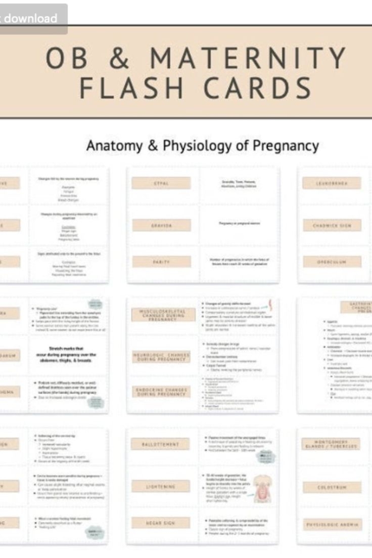 OB amp Maternity Flash Cards 30 Anatomy amp Physiology Of Pregnancy Worksheets Library