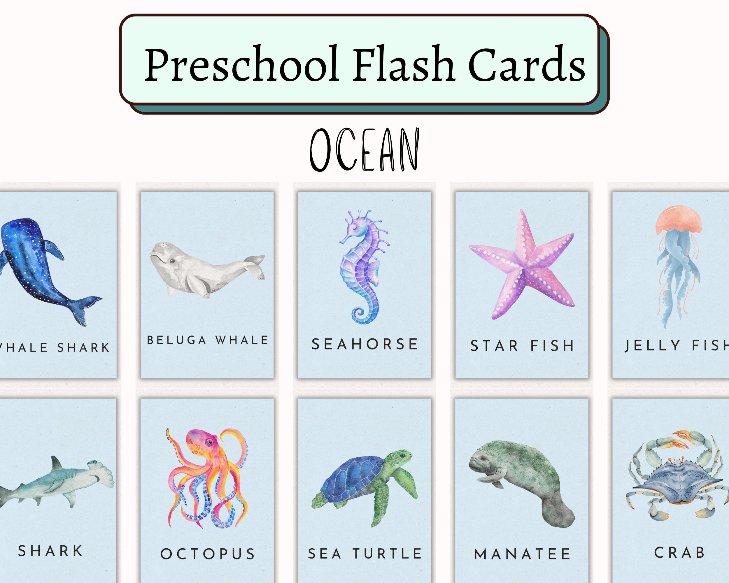 sea creatures flashcards
