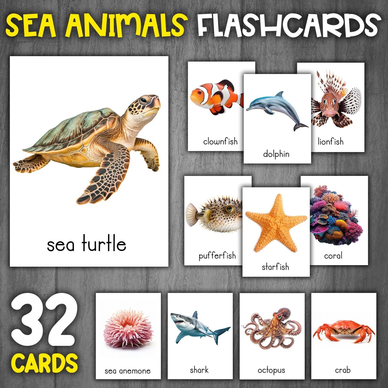Ocean Animals Flashcards Sea Animal Flashcards Real Pictures Montessori 3 part Cards Vocabulary Sea Animals Etsy