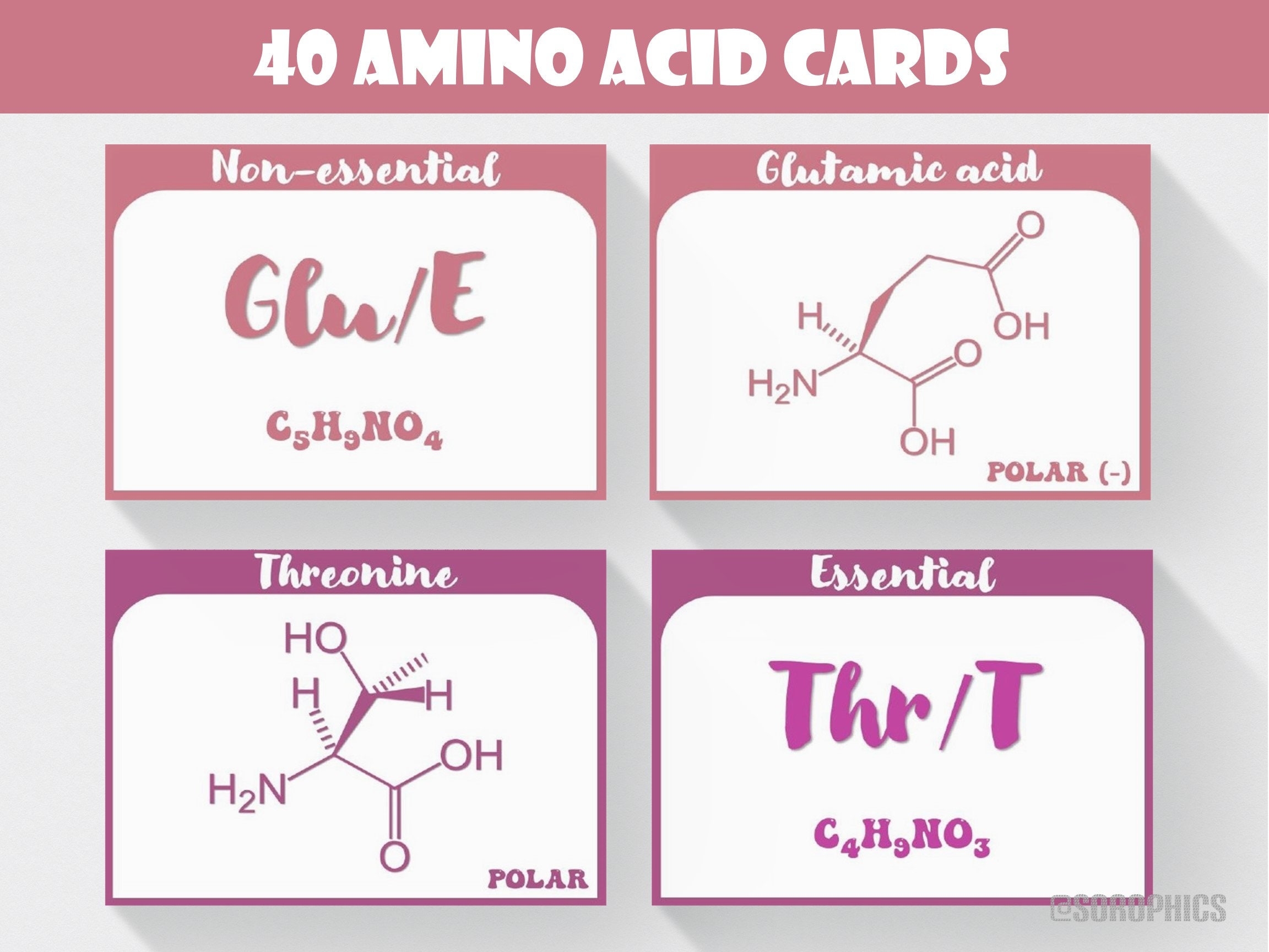 Organic Chemistry Flashcards Printable Chemistry Flashcards Amino Acid Flash Cards Montessori Chemistry Chemistry Notes Chemistry Pdf Etsy