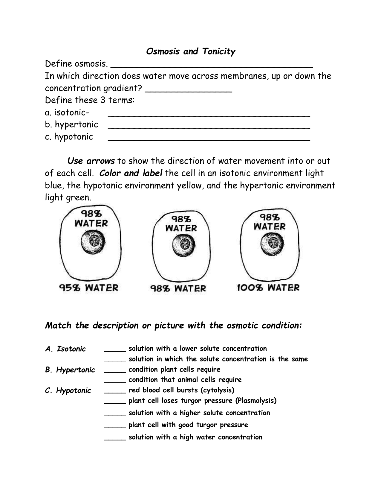 osmosis worksheet answer key